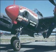 p-38-lightning-john-sanders.jpg